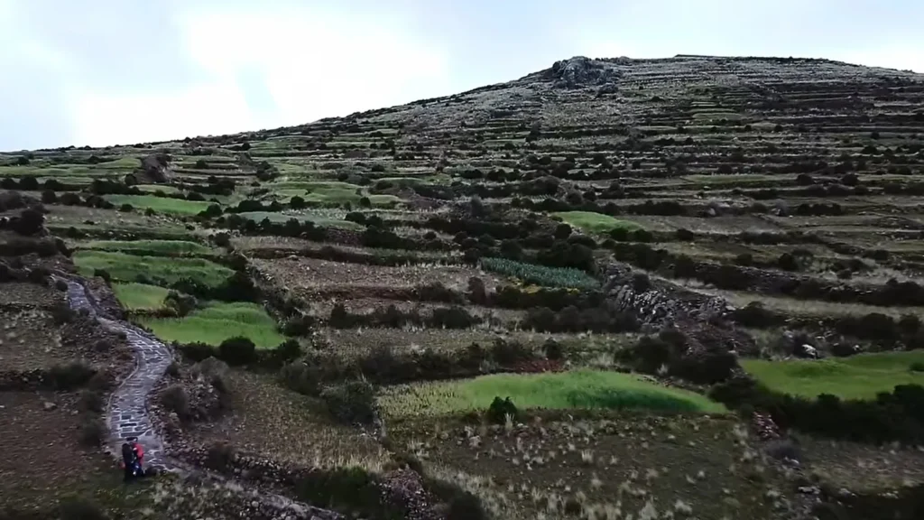 Amantani